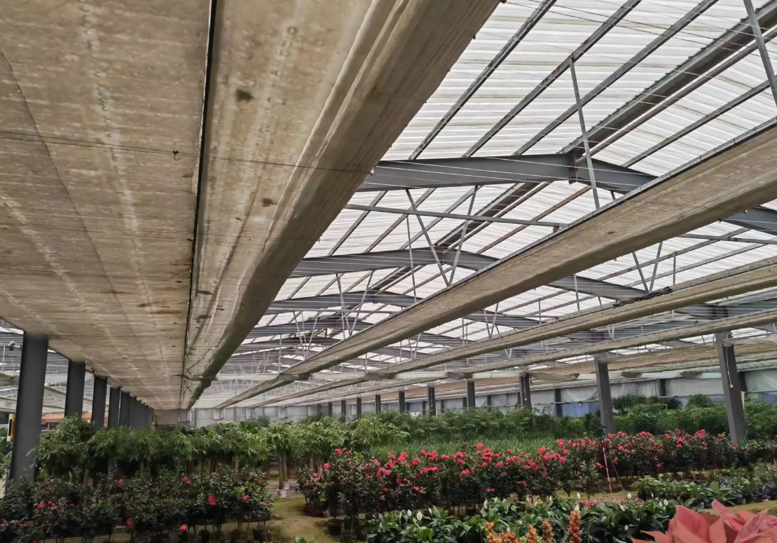greenhouses for sale