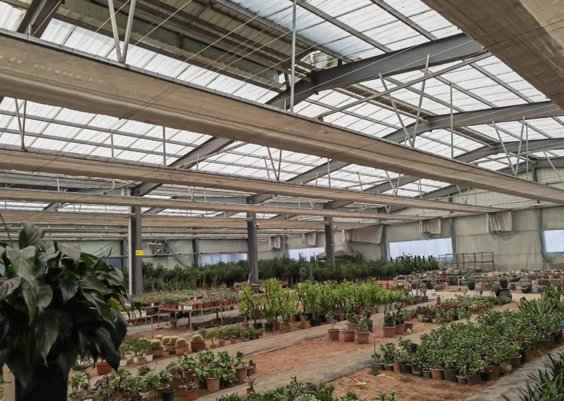 multi-span greenhouse