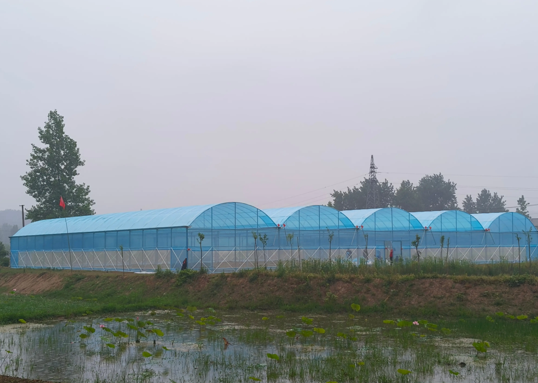 greenhouses for sale