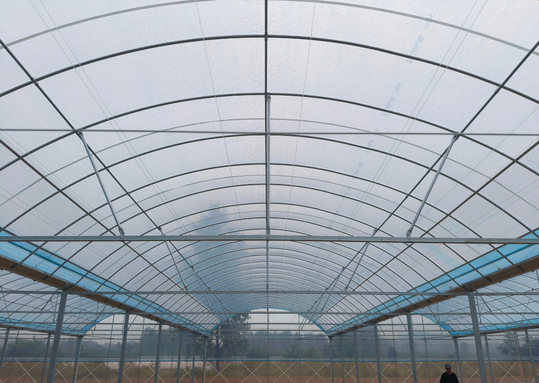 plastic greenhouse