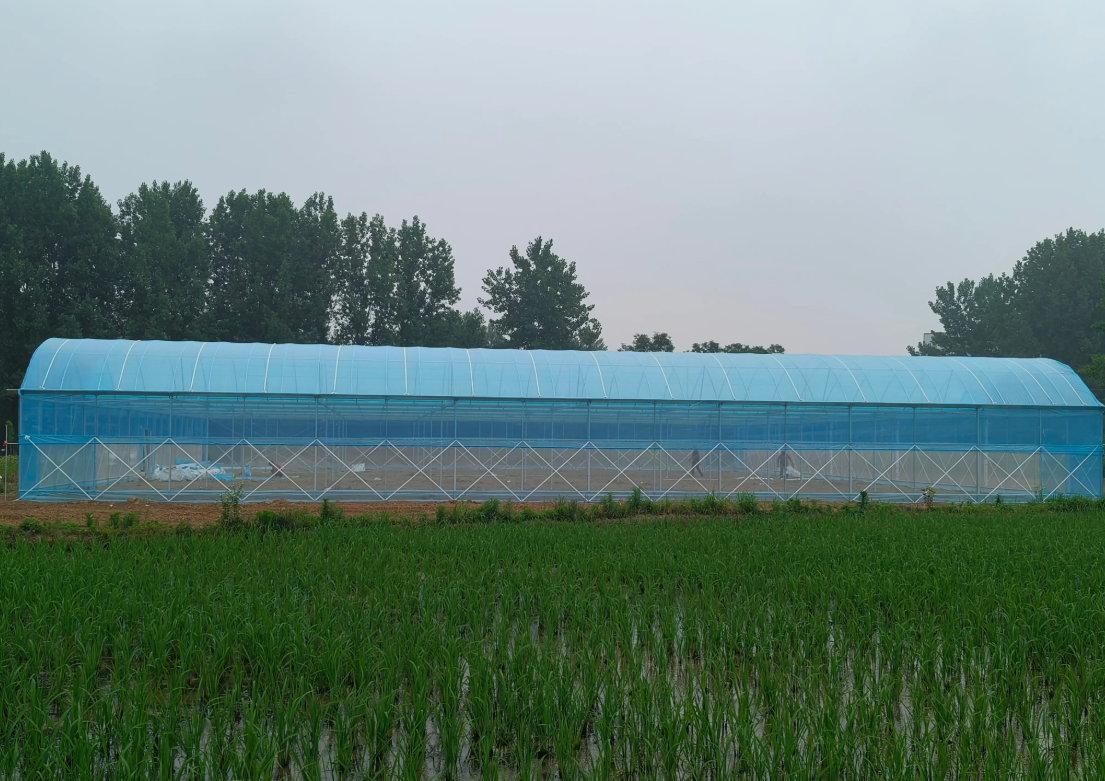 greenhouses for sale