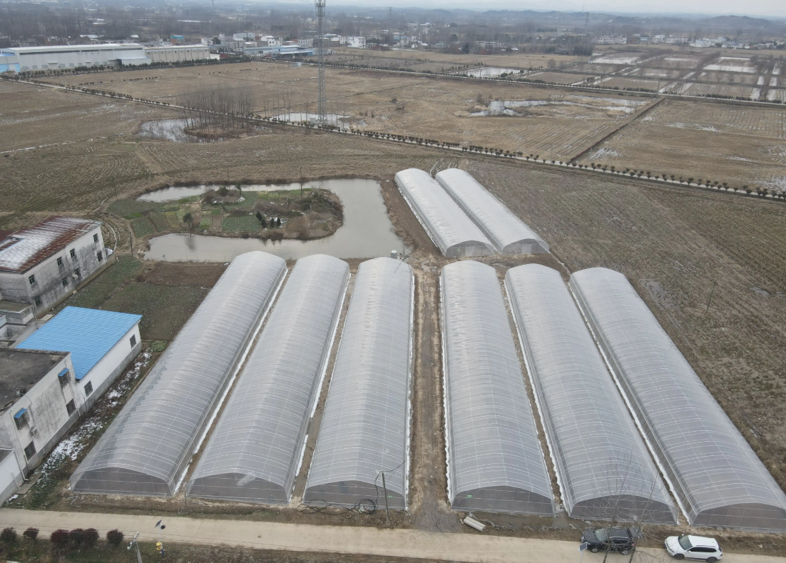 greenhouse plastic for sale