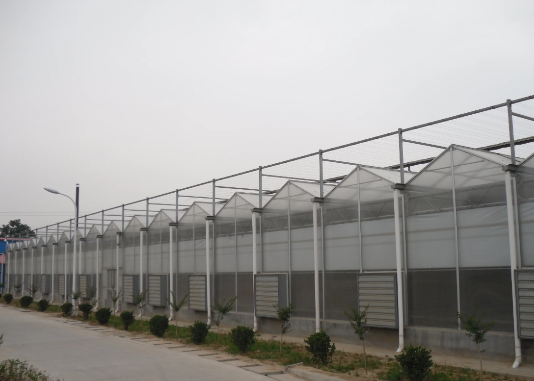 poly tunnel greenhouse