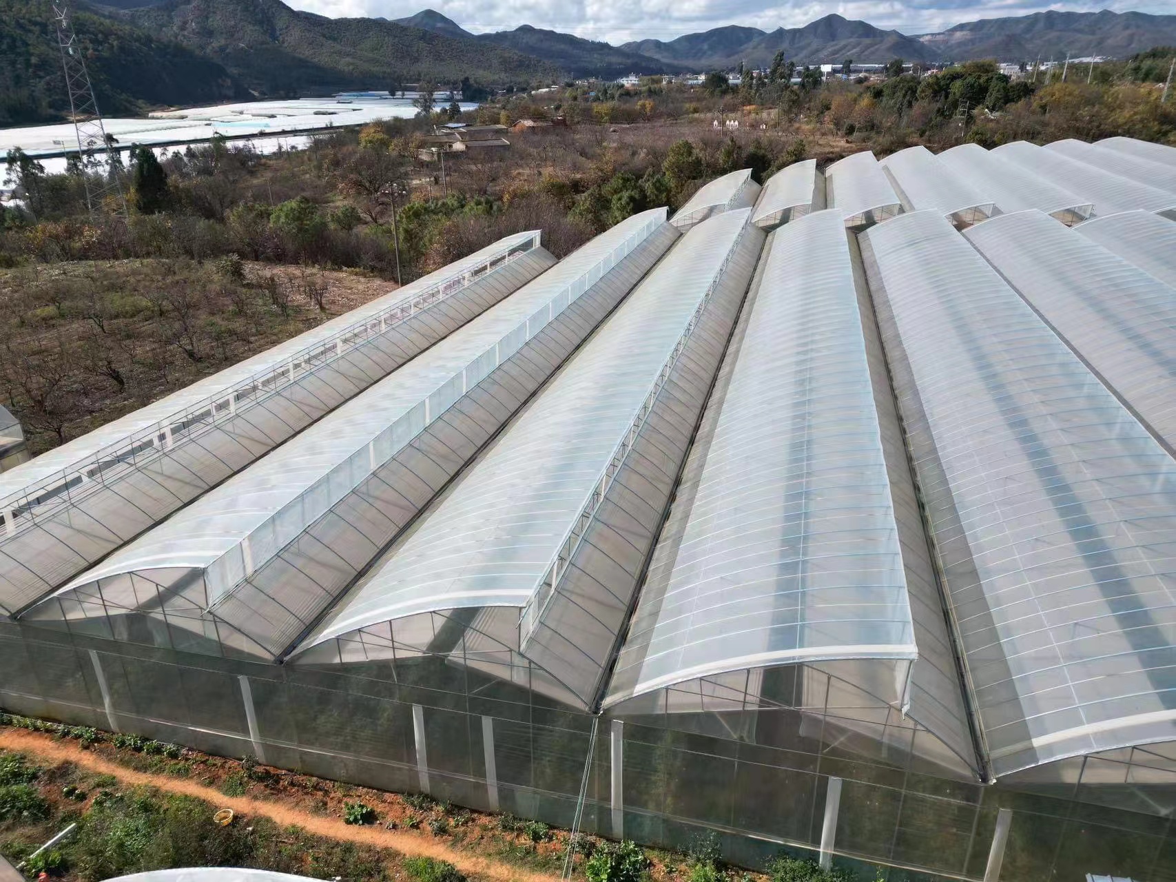 Why do greenhouses need to professional designers?