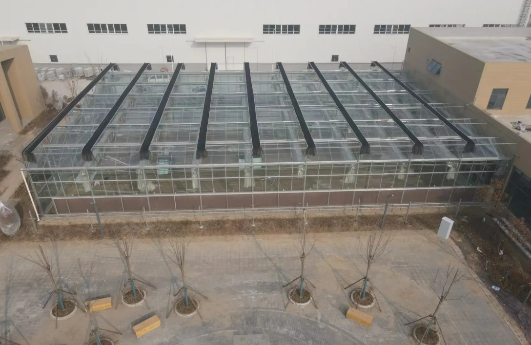 glass greenhouse