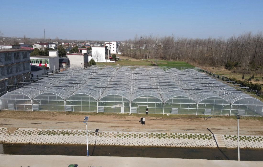 polycarbonate greenhouse