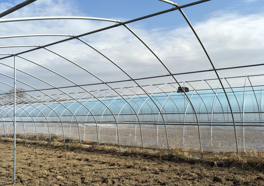greenhouses for sale