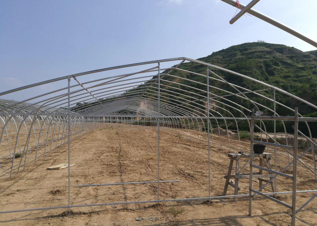 greenhouse