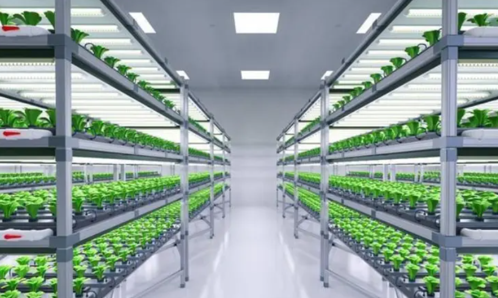 greenhouse