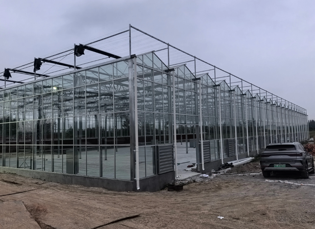 greenhouse