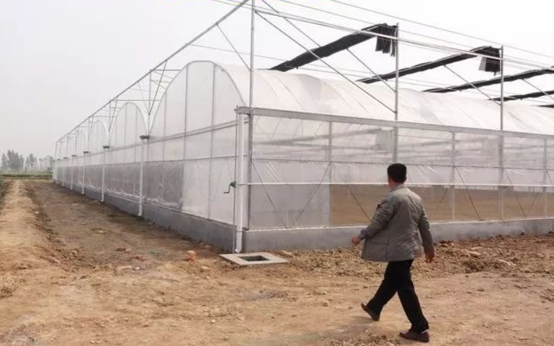 greenhouse plastic roll