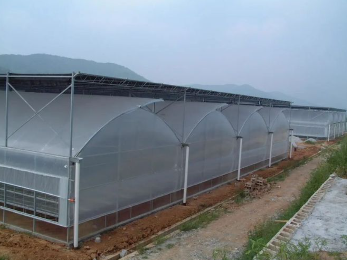 greenhouse film
