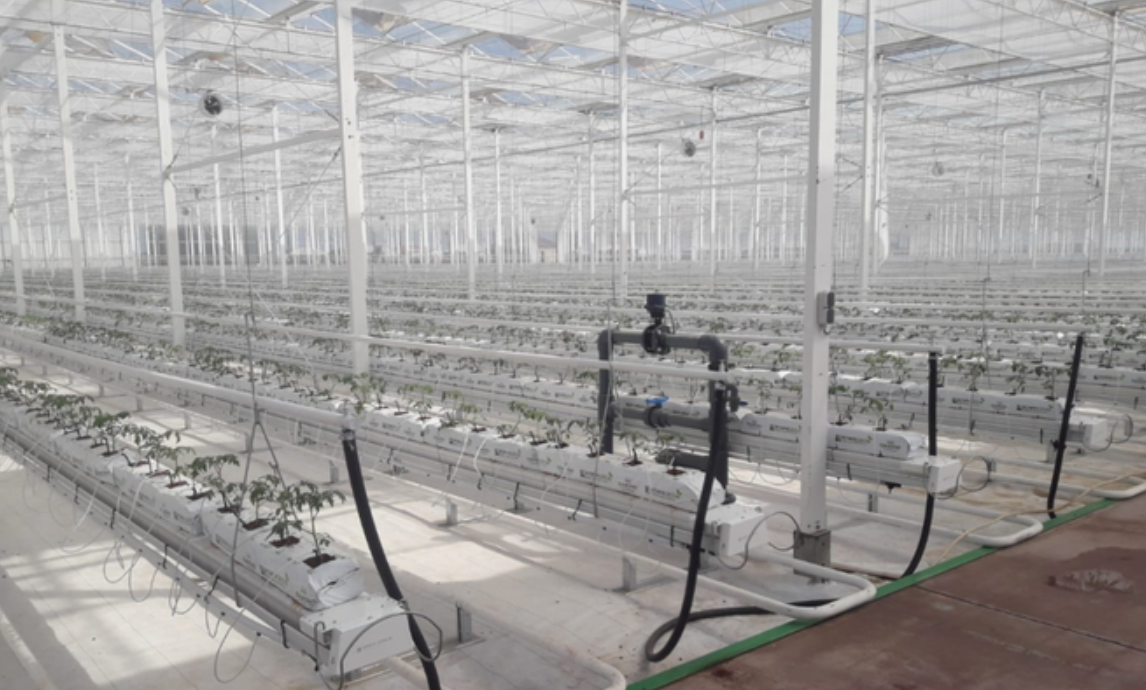 glass greenhouse