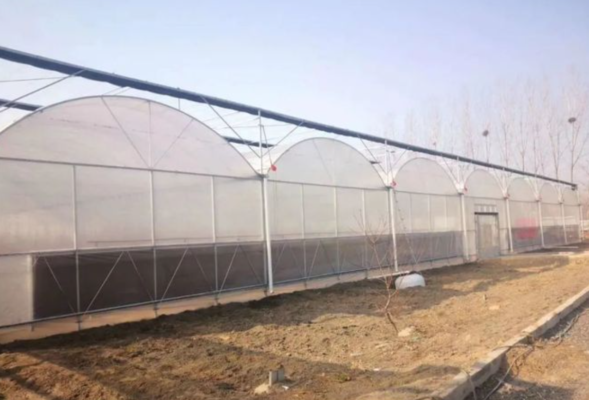 glass greenhouse