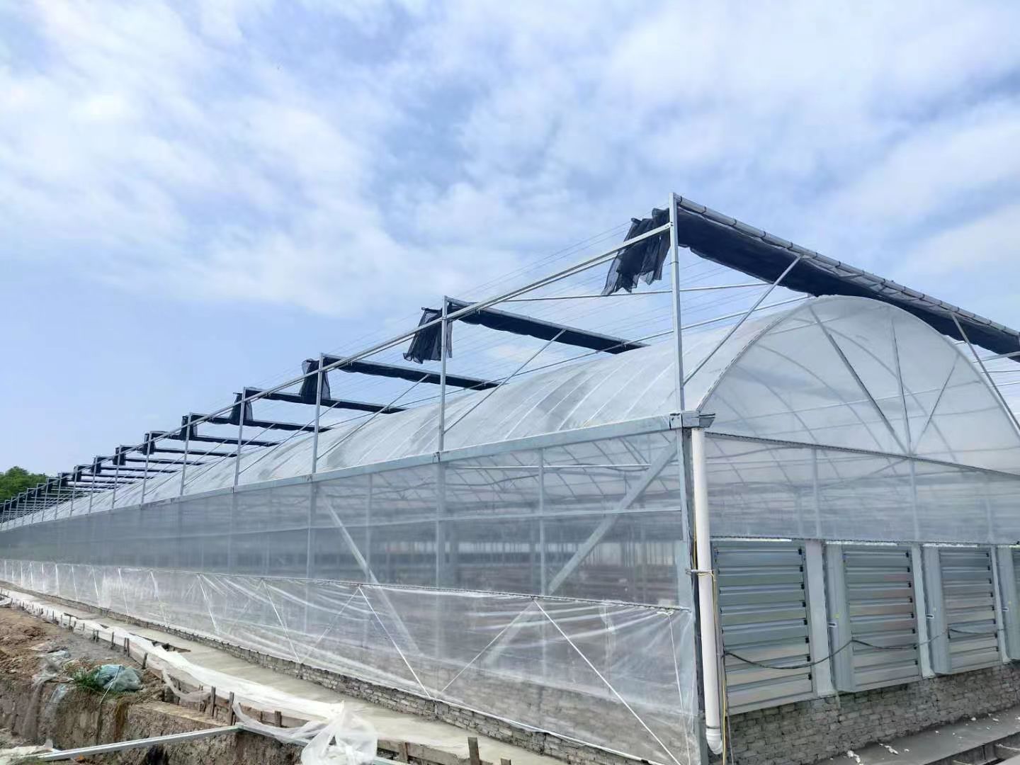 6 mil clear plastic sheeting for greenhouse