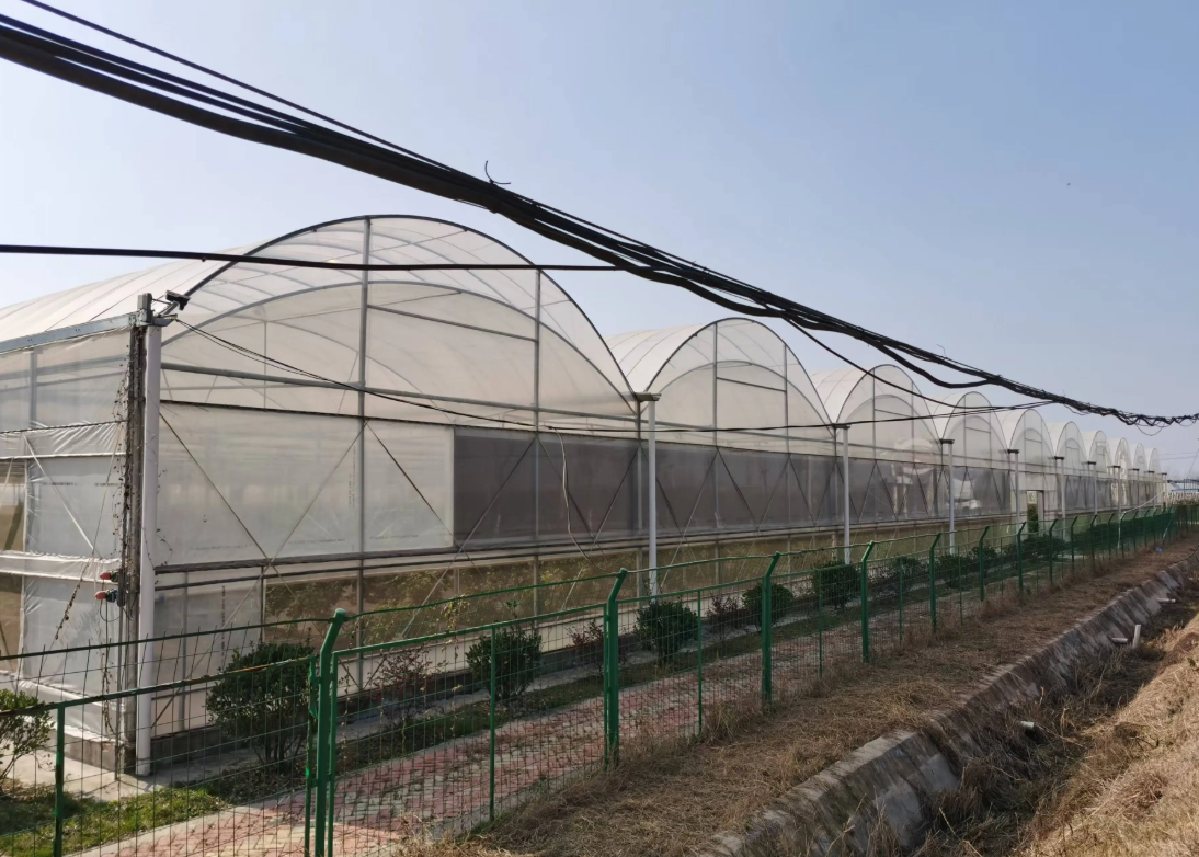 greenhouse