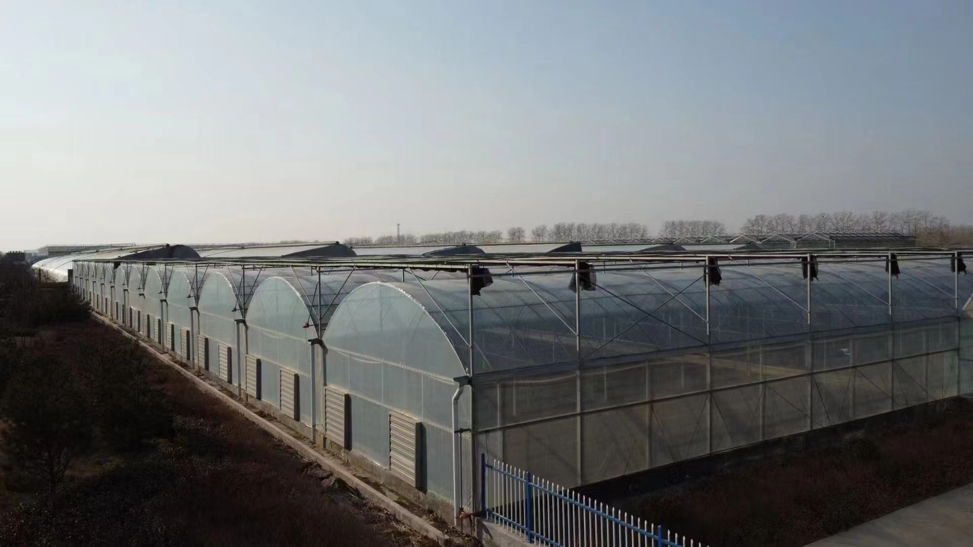 multi-span greenhouse