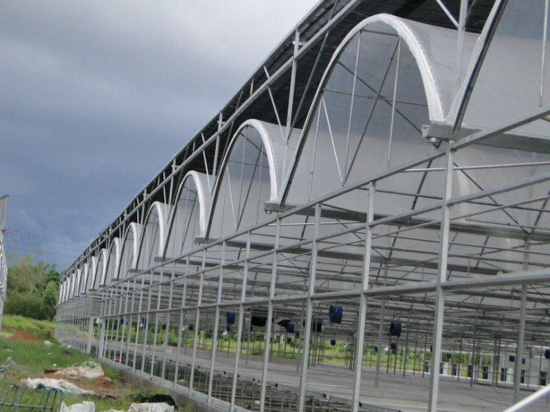 Greenhouse drip irrigation
