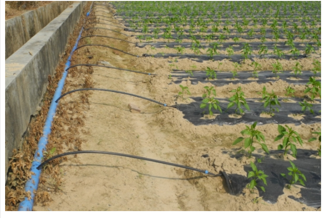 Greenhouse dehumidification methods