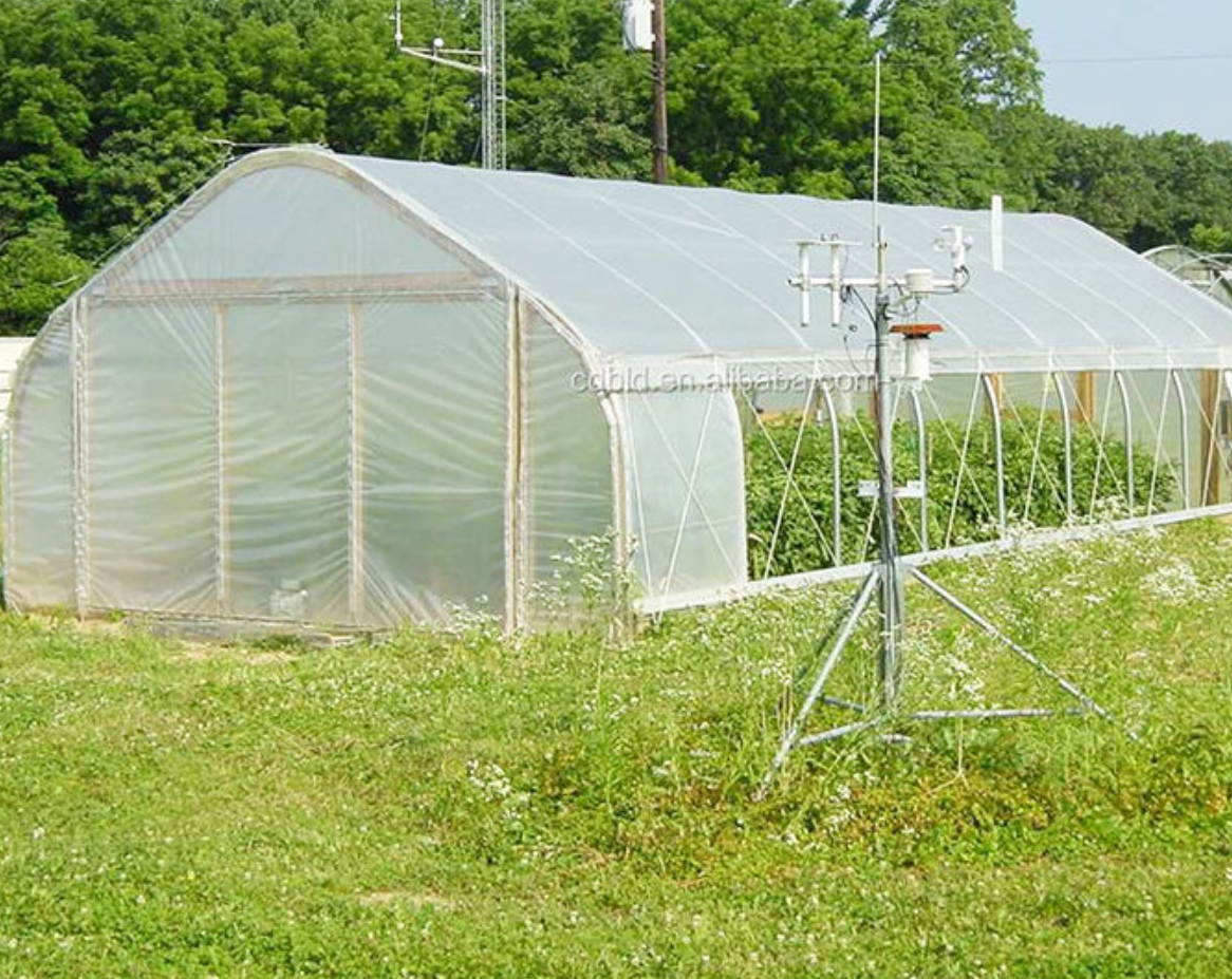 Greenhouse