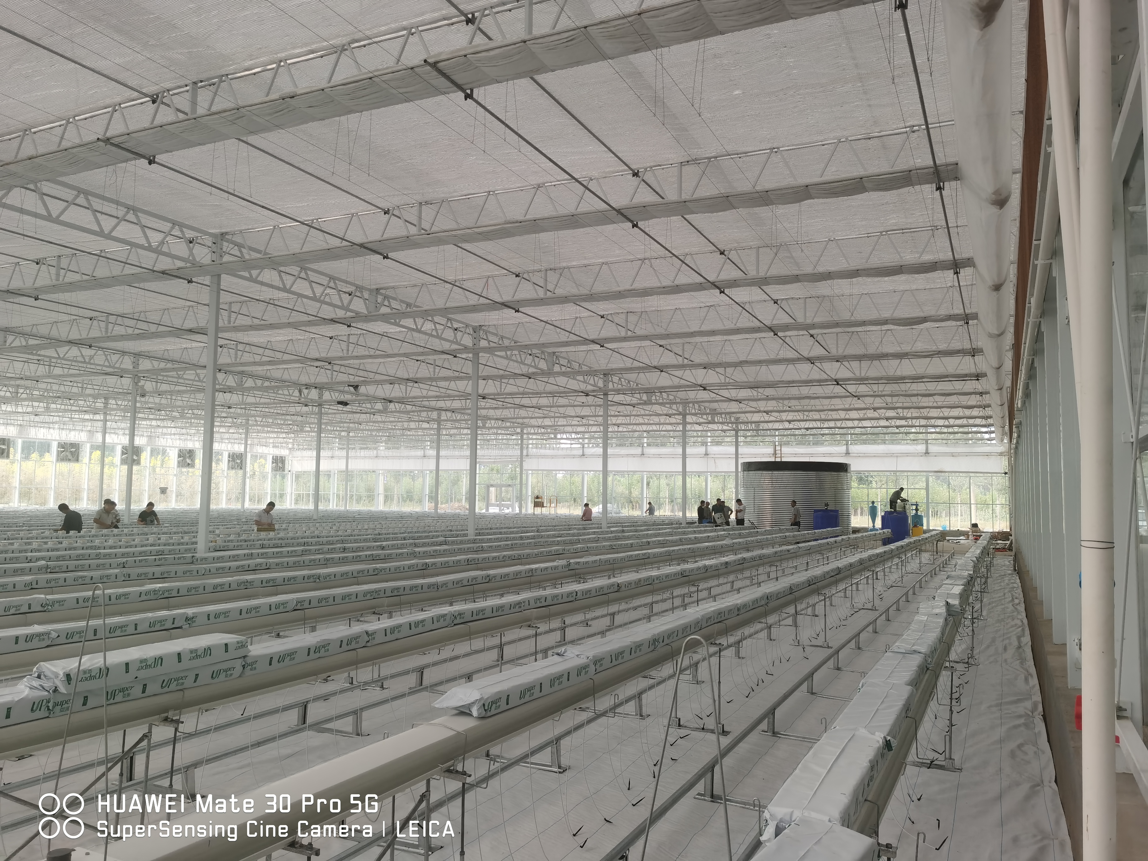 From soil-based cultivation to substrate-based cultivation