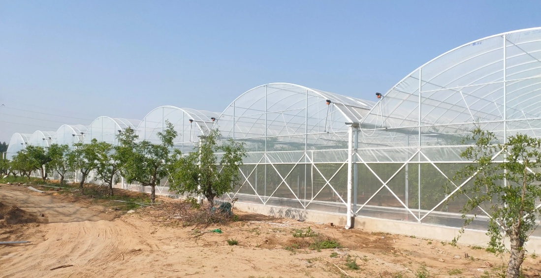 Why is greenhouse agriculture becoming increasingly popular?