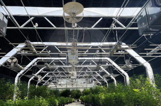 Light deprivation greenhouse