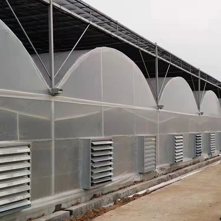 greenhouse-temperature