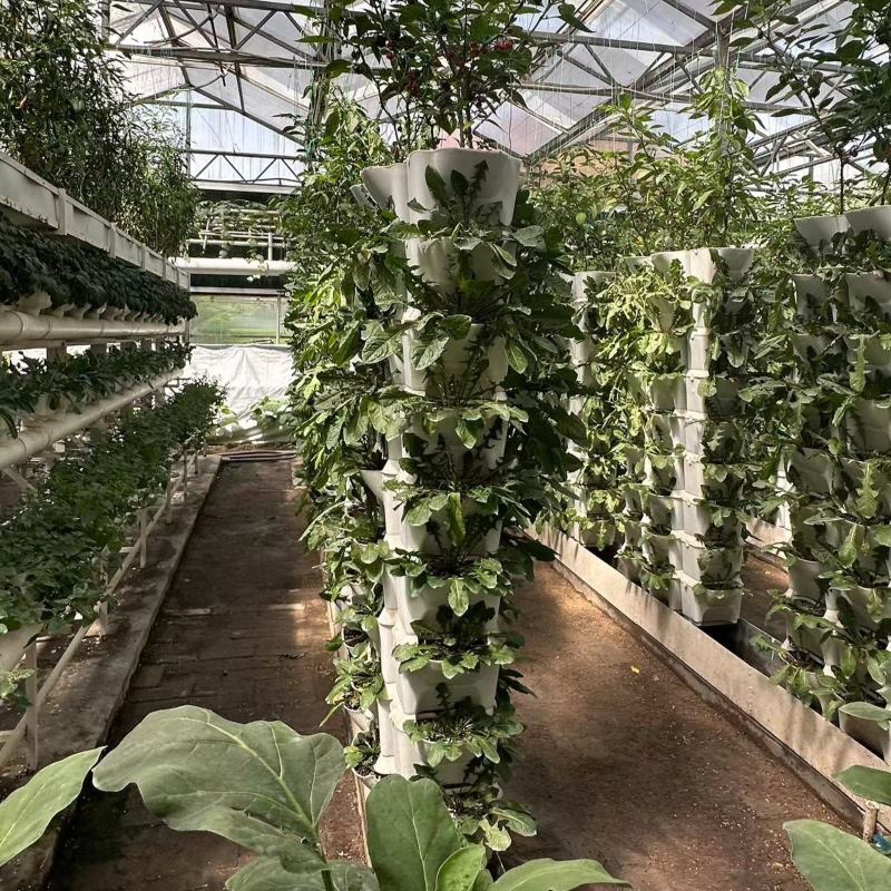 soilless culture