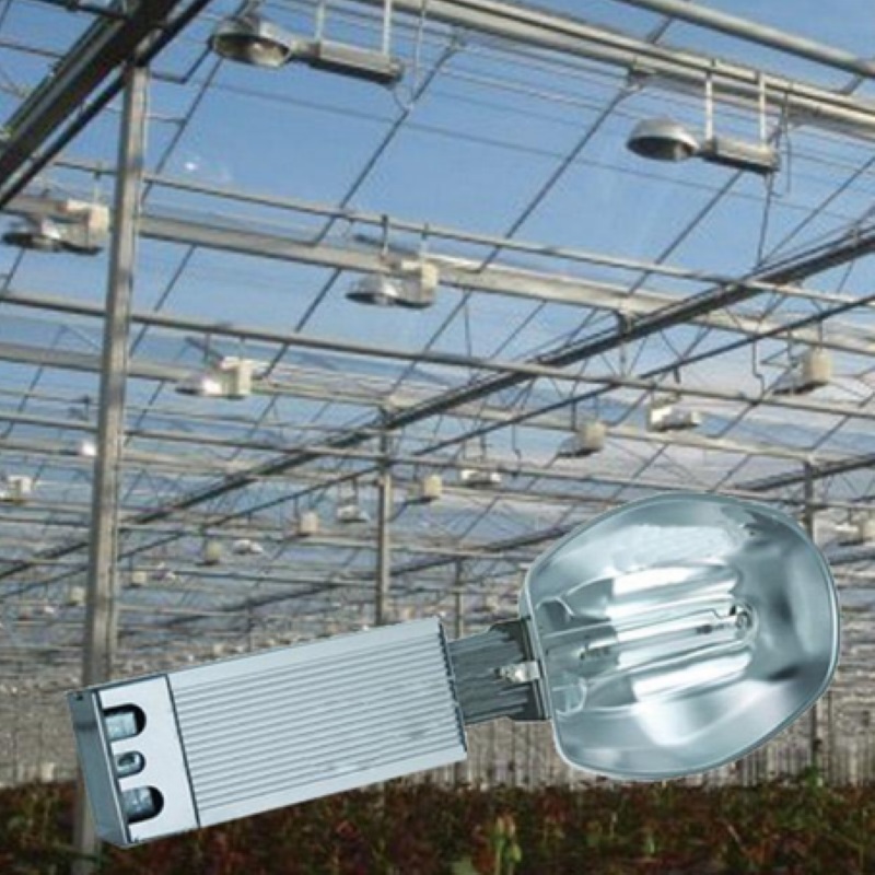 Greenhouse cultivation