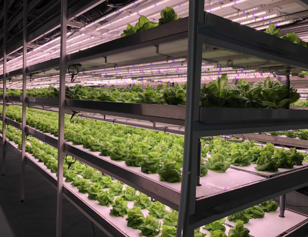 automated climate control systems