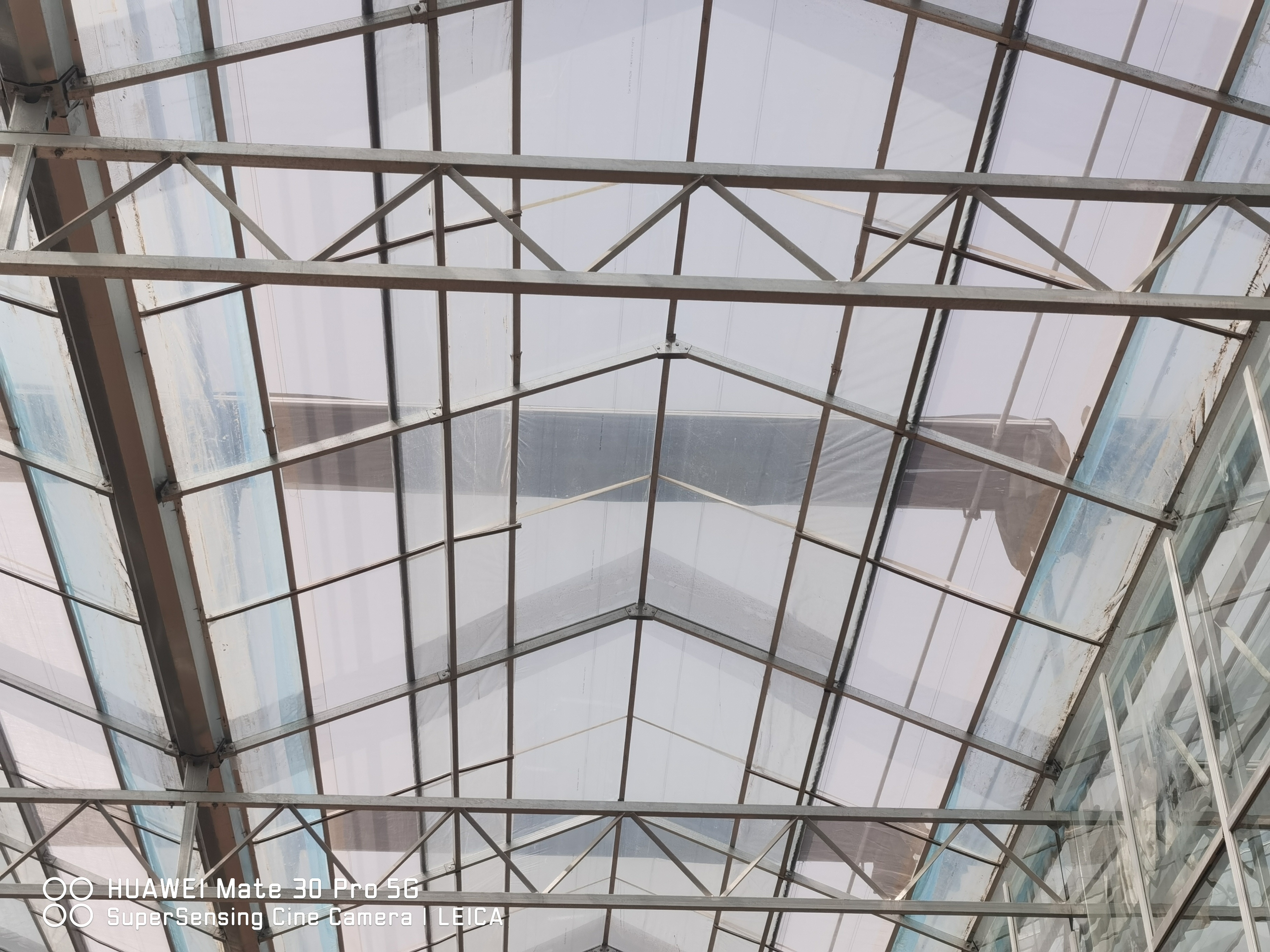 greenhouse