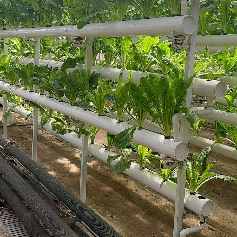 hydroponic system hydroponic system