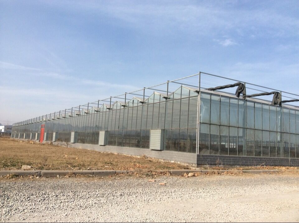 greenhouse