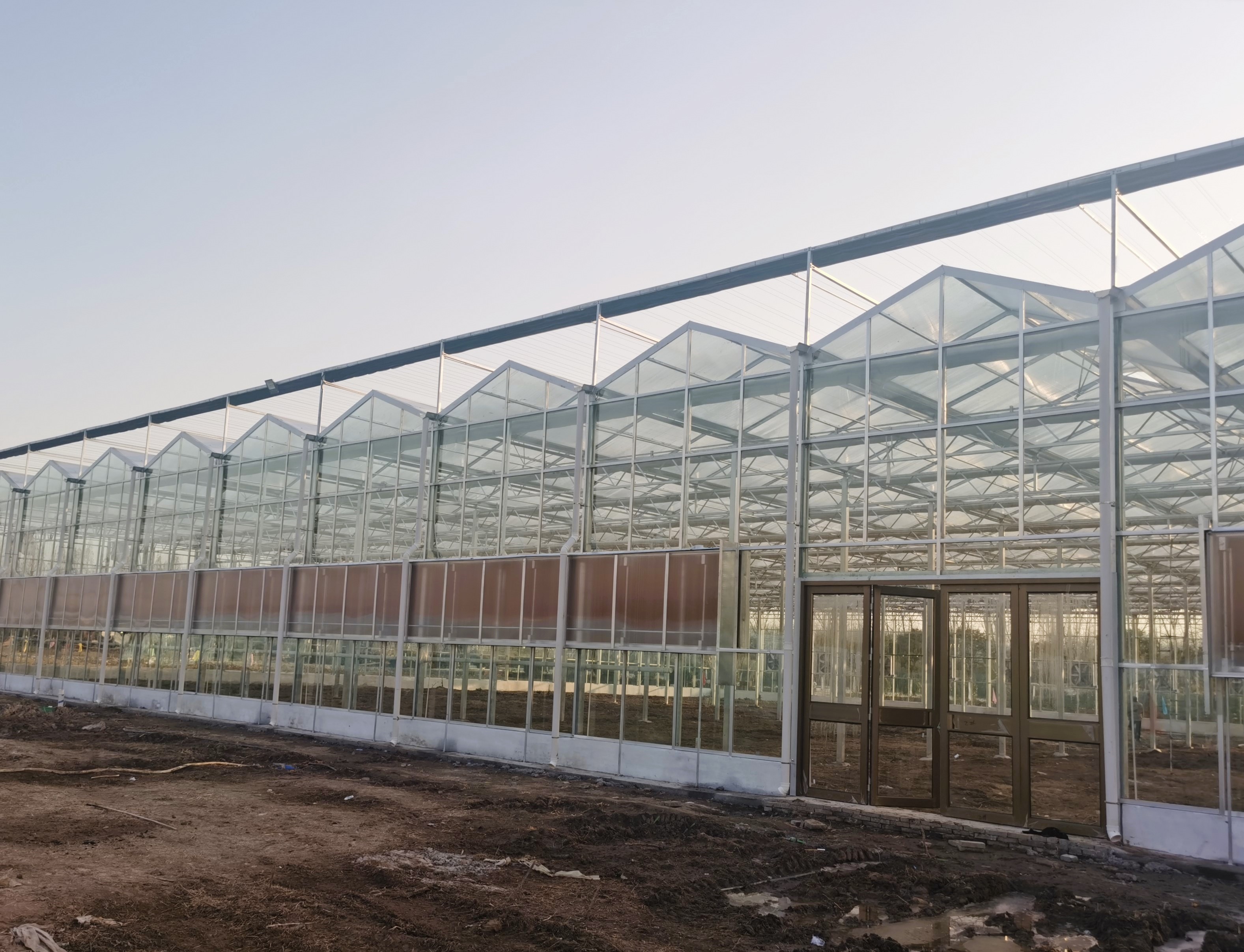 Glass greenhouse