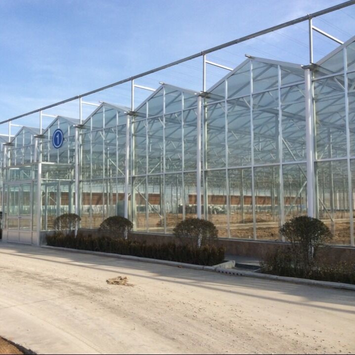 greenhouse