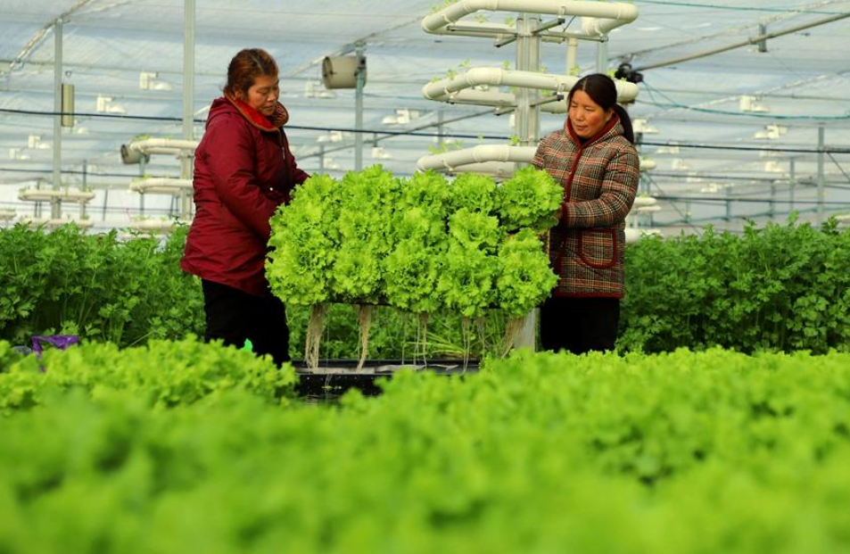 greenhouse