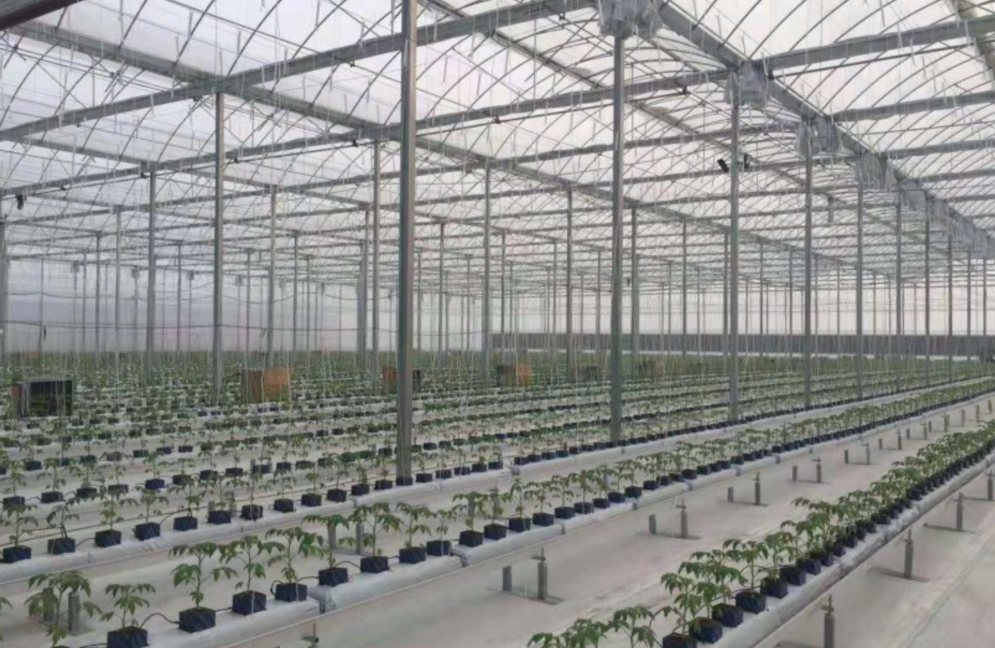 tunnel film greenhouse