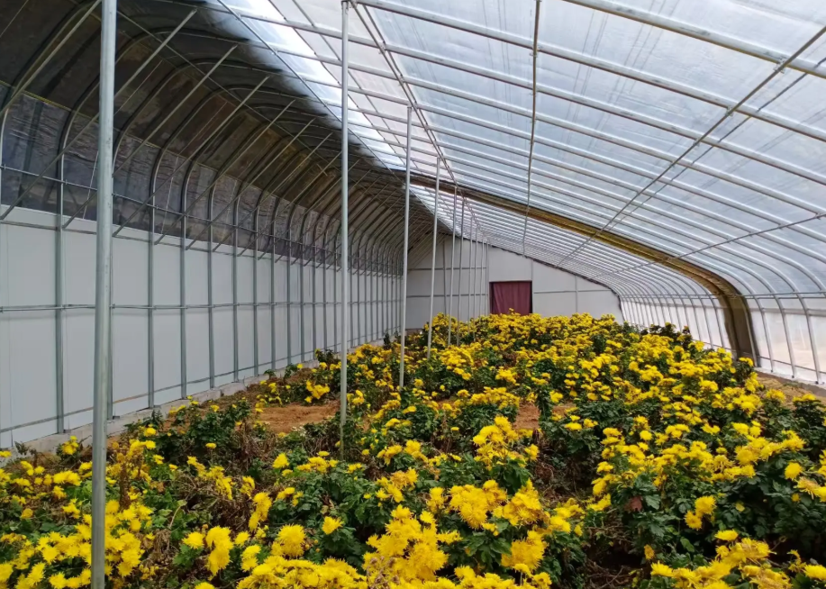 agricultural greenhouses