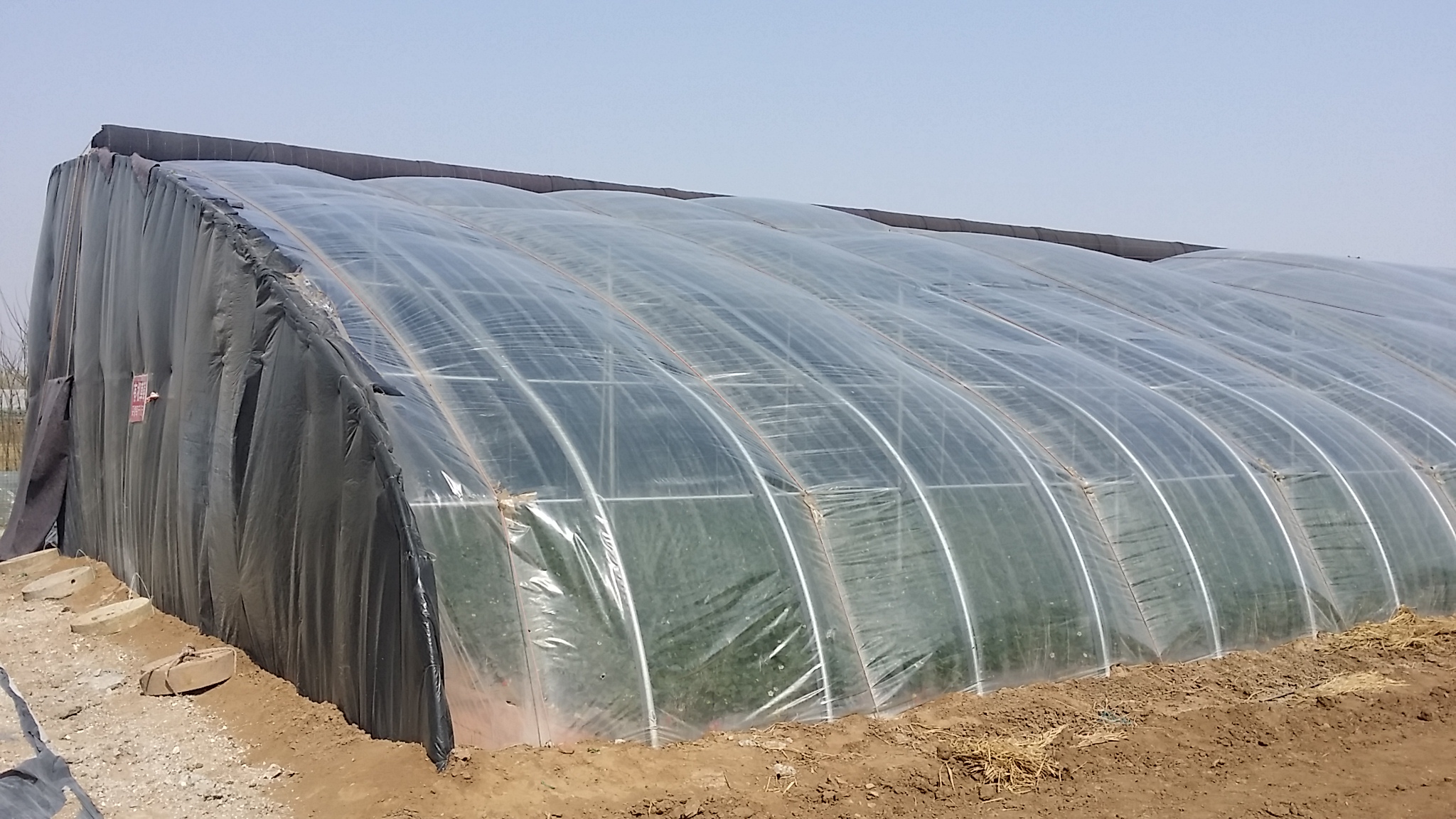 solar greenhouse