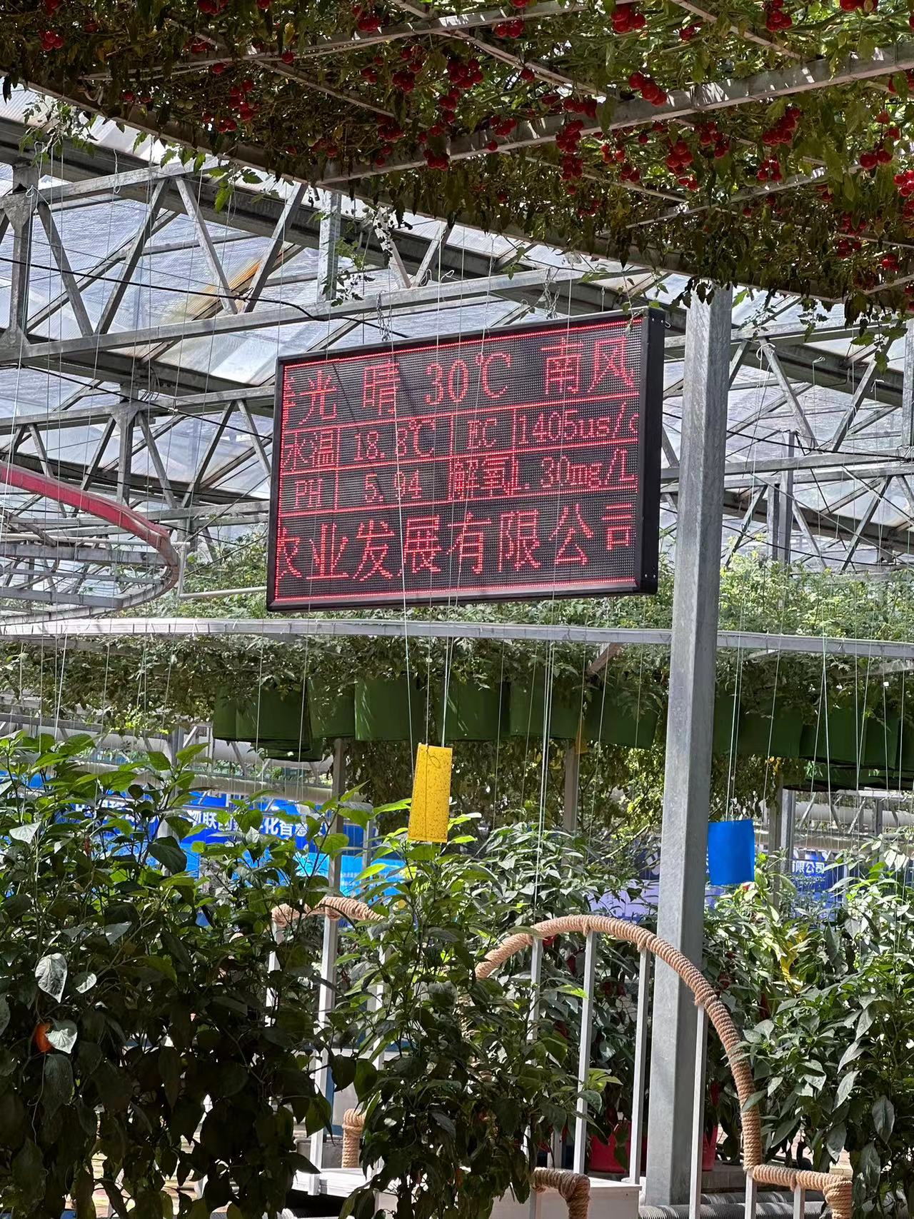 agricultural greenhouses