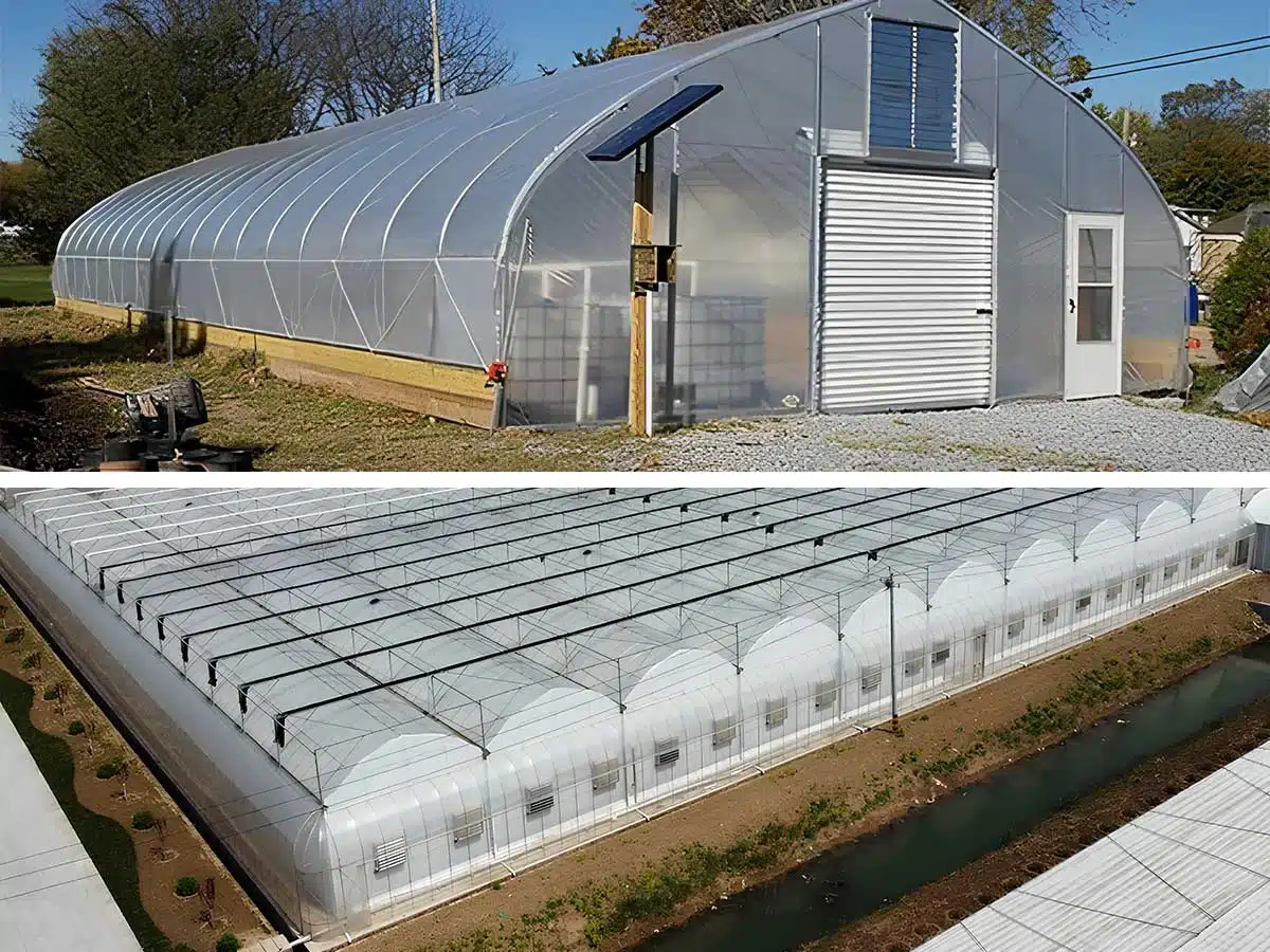 Comprehensive Guide to Agricultural Greenhouse Design 1
