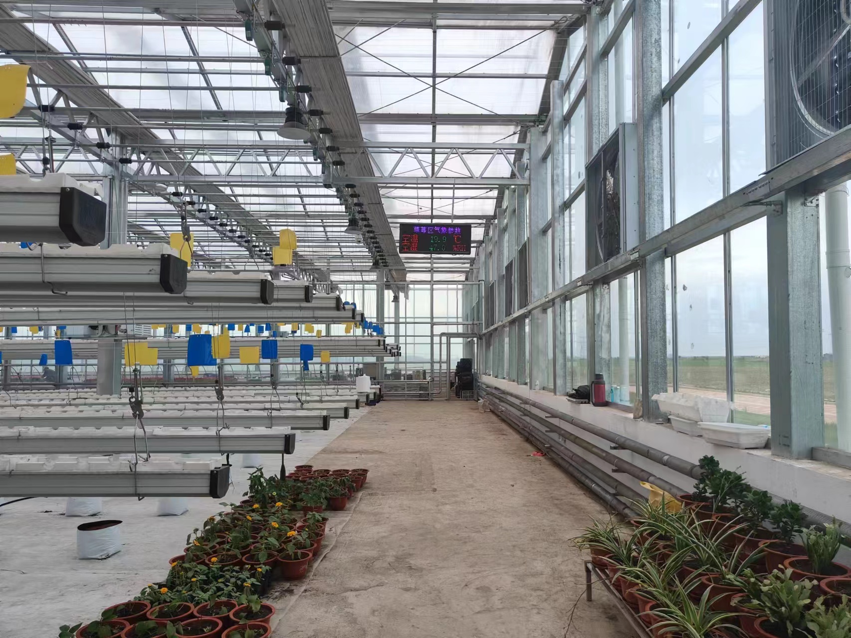Advantages and Disadvantages of Multi-span Greenhouses
