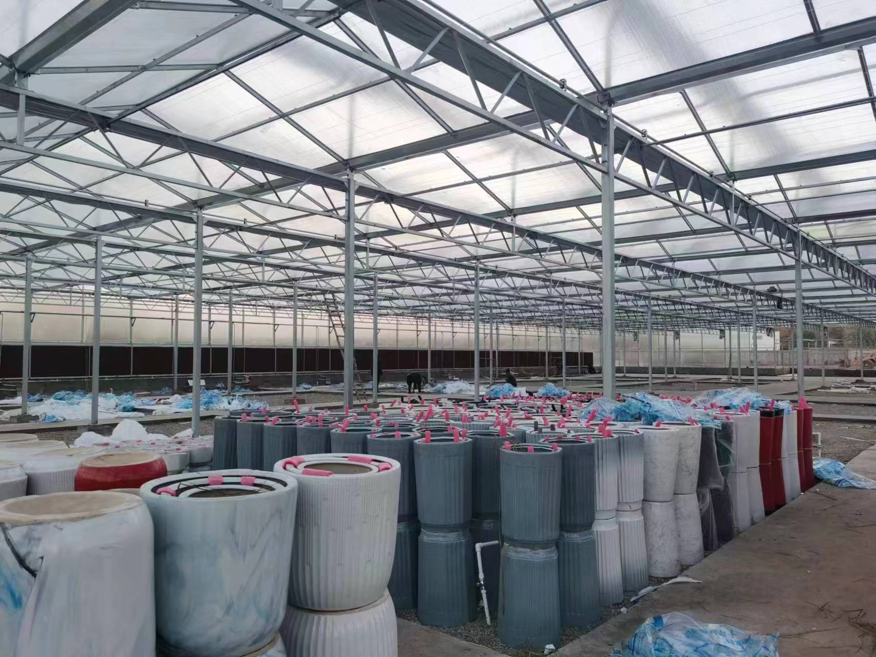 The Evolution and Impact of Greenhouse Technology in Modern Agriculture