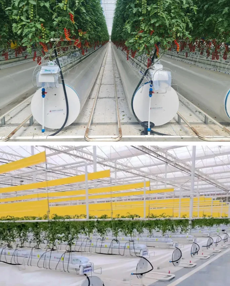 greenhouse