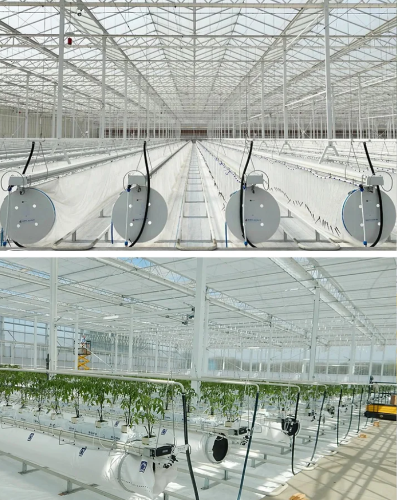 greenhouse