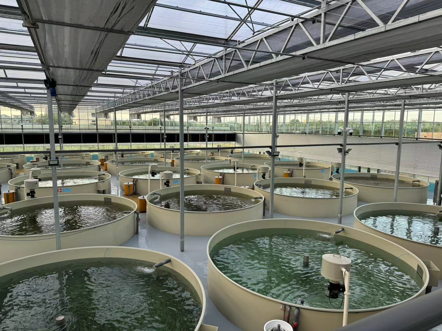 What is an evaporative air cooler? How do they work?