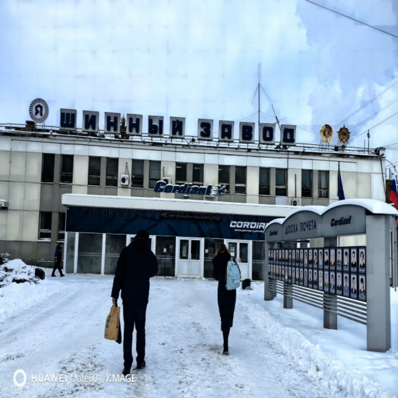 LongGreen Visit Russia Tyre Company