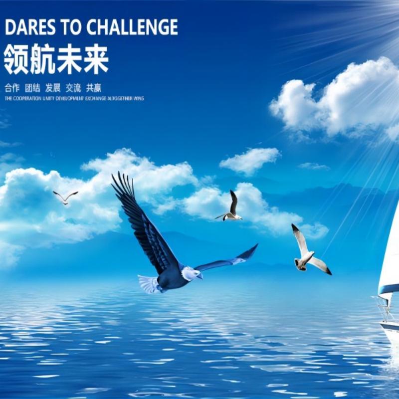 Provide products and services worldwide