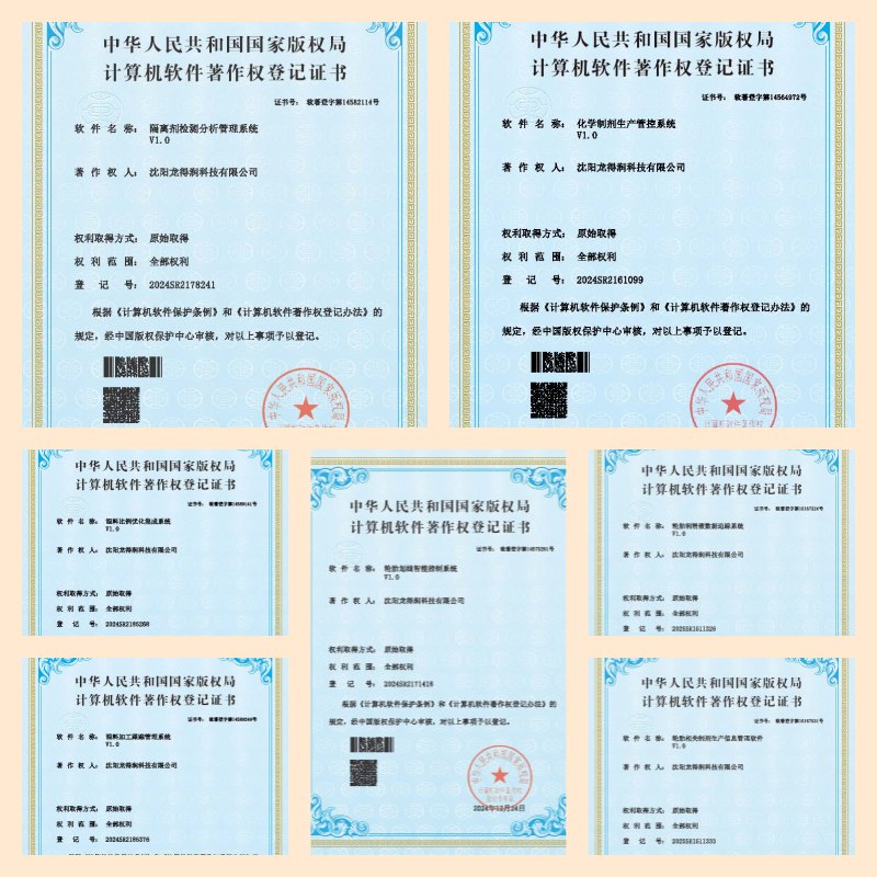 Computer software copyright